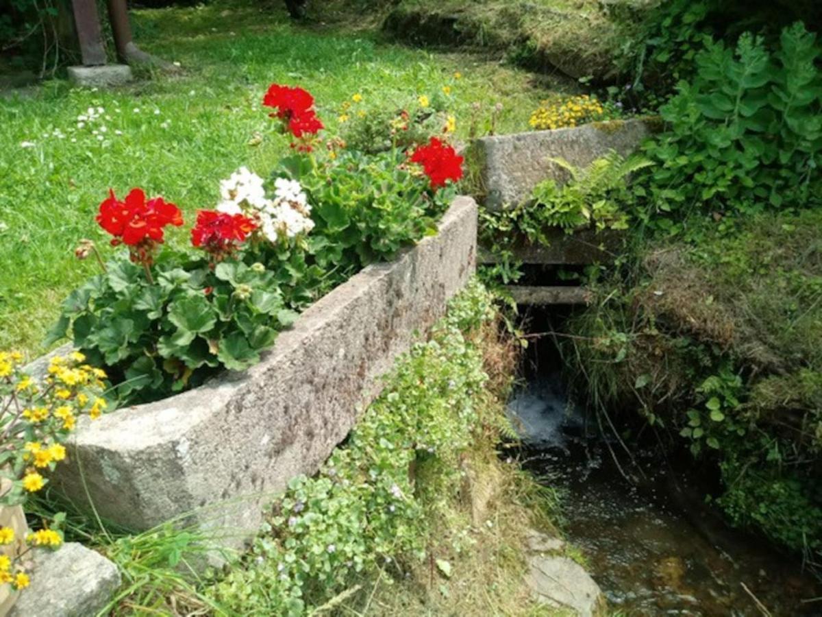 Chaloupka Na Konci Sveta Holiday home *